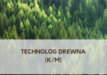 Technolog drewna (k/m)