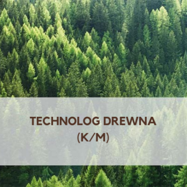 Technolog drewna (k/m)
