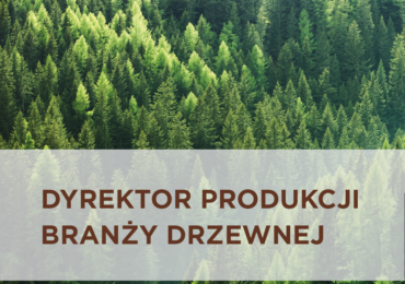 Dyrektor Produkcji w branży drzewnej