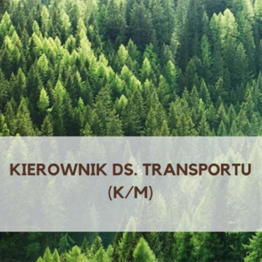 Kierownik ds. transportu (k/m)