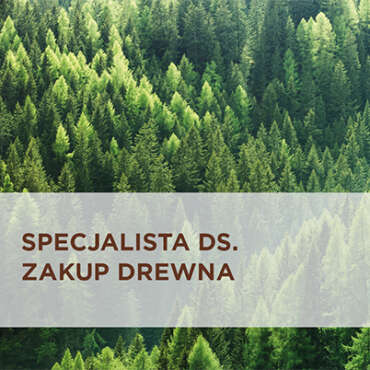 Specjalista ds. zakupu drewna