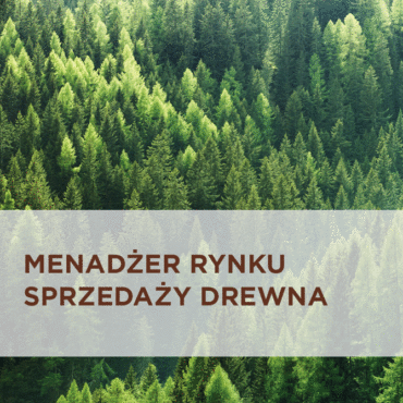 Menedżer rynku sprzedaży drewna