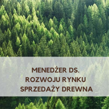 Menedżer ds. rozwoju rynku sprzedaży drewna